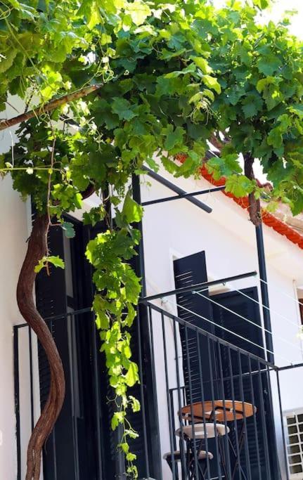 Villa Titinas' Plomari Exterior foto